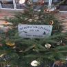 images/weihnachtsbaum2016/img-20161211-wa0002.jpg