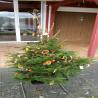 images/weihnachtsbaum2016/img-20161211-wa0028.jpg