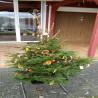 images/weihnachtsbaum2016/img-20161211-wa0028.jpg